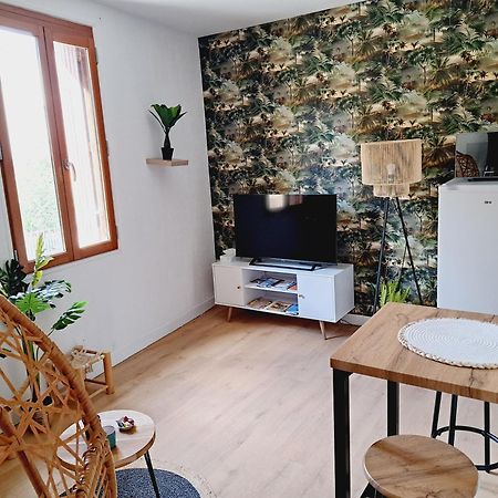 Le Jungle Appart, Centre Ville Нарбон Екстериор снимка