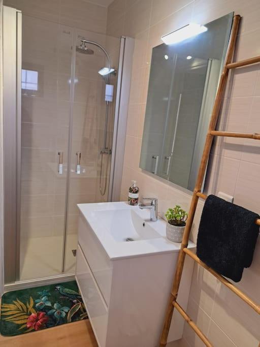 Le Jungle Appart, Centre Ville Нарбон Екстериор снимка
