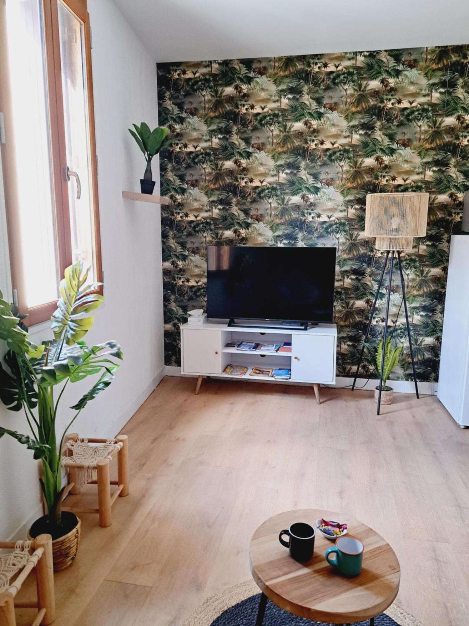 Le Jungle Appart, Centre Ville Нарбон Екстериор снимка